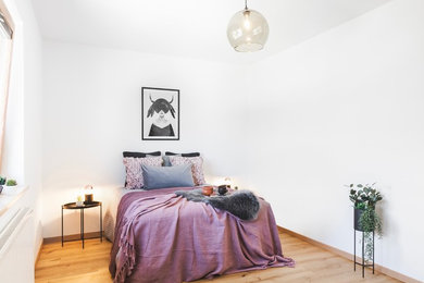 Mittelgroßes Modernes Hauptschlafzimmer in Sonstige