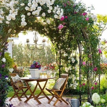 Summer Color and Foliage