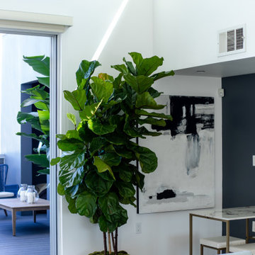 Venice Beach Residence