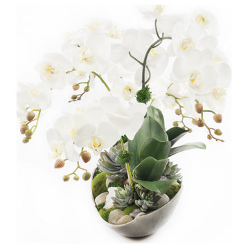 Cream White Real Touch Phalaenopsis Orchids in Large Metal Tray