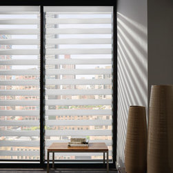 Traditional White Living Room Custom Window Roller Shades by Hunter Douglas - Roller Shades
