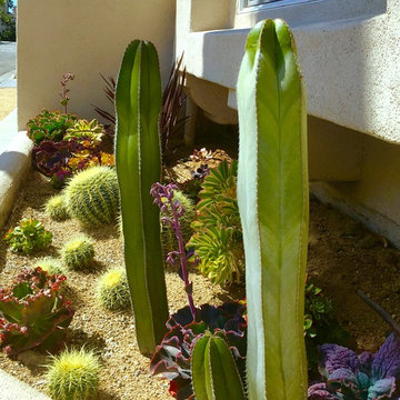 Design- Coastal, Huntington Beach, CA