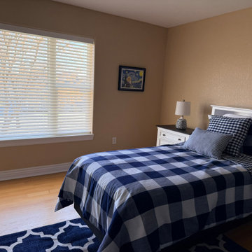 Lake Geneva- Banded Shades, faux wood and duette shades