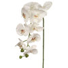 Larksilk Phalaenopsis Orchid Flowers 33.5" - Set of 2 with 9 Stunning Blooms
