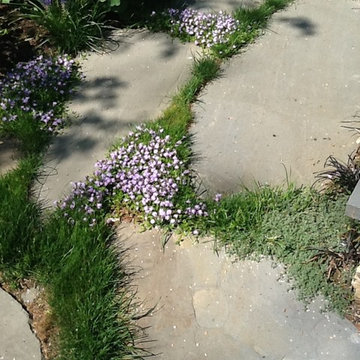 Boulder Ideas & Broken Blue Stone Path