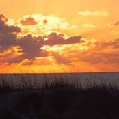 Honey Senter's photo