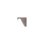 Vanessa Winston's photo