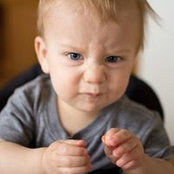 Leeanne Shearer's photo
