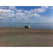 Patrick Kenney's photo