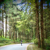 Cathy Chi's photo
