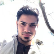 vahid's photo