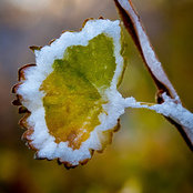 Thomas Higgins's photo