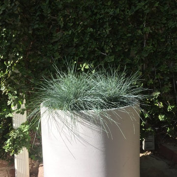 Terrace Garden in Silverlake