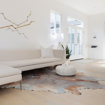 Modern Minimal Renovation + Addition