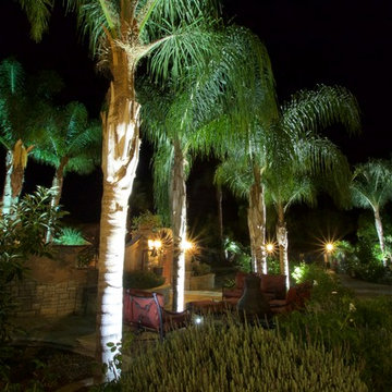 Sprawling Avacado and Palm Tree farm in Somis, California