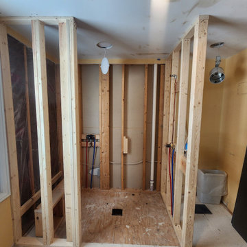 Tecumseh / Modern Grey Tile Bathroom Remodel