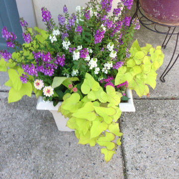 Container Gardens