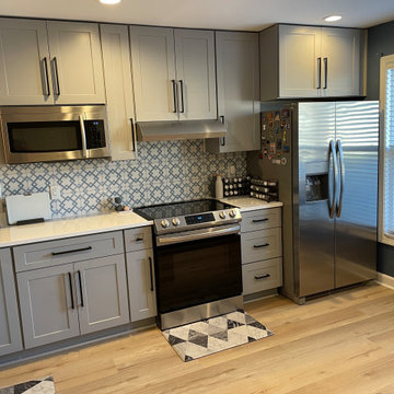 Full Town House Remodel in Reston, VA