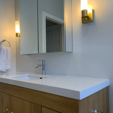 Modernized Lakeview Bathroom