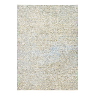 https://st.hzcdn.com/fimgs/6111b1750fb478a6_5869-w320-h320-b1-p10--contemporary-area-rugs.jpg