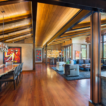Z House 2