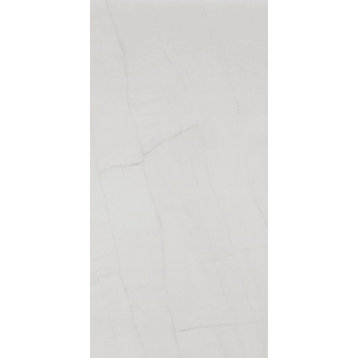 Viterbo Blanco Porcelain Tile, 24"x48" Sample