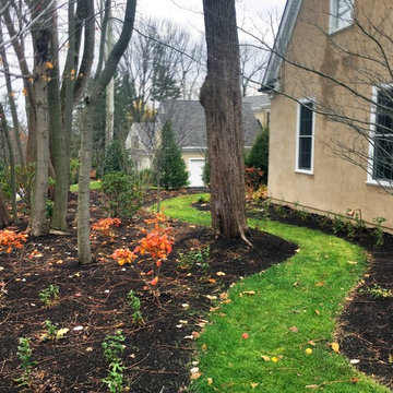 Villanova Plant Design and Install