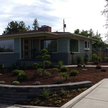 Mid Century Modern Custom Landscape Design