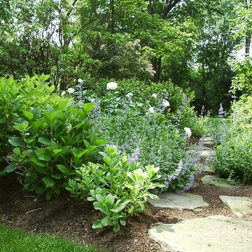 A stepping stone path through the garden