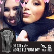 Kylie Mizzi's photo