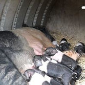 Alison Parker's photo