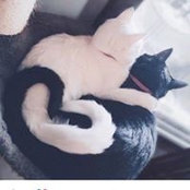 Becki Przybyla's photo