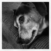 Christal Rosa's photo