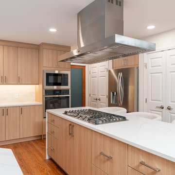 Sammamish Full Home Remodel and ADU
