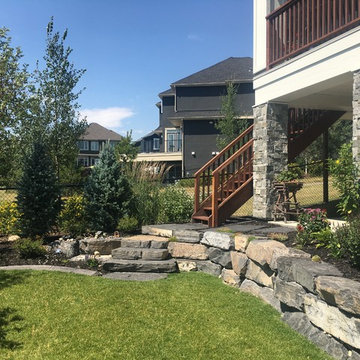 Aspen - Back Yard 2017