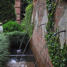 dc back yard
