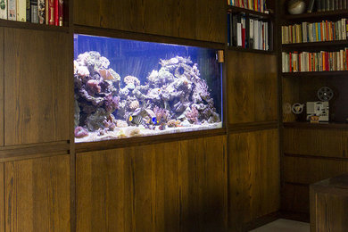 Reef in the study
