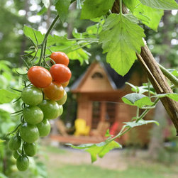 Cabin - Prefab Studios