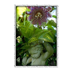 Botanical Series - Artwork