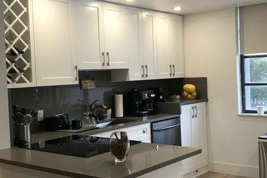 Kitchen - traditional kitchen idea in Miami