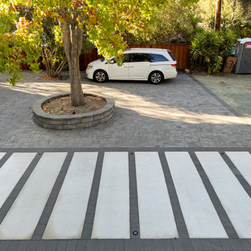 Front & Side Yard