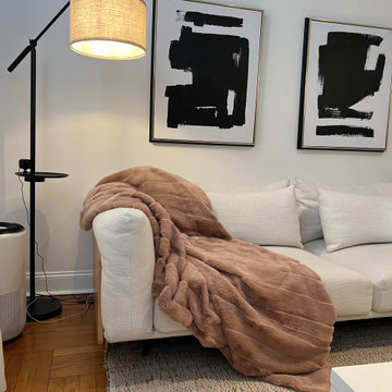 Brooklyn Apartment