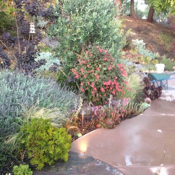 Los Altos Hill Side