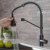 Bolden Commercial Style 2-Function Pull-Down 1-Handle 1-Hole Kitchen Faucet, Matte Black/ Stainless Black
