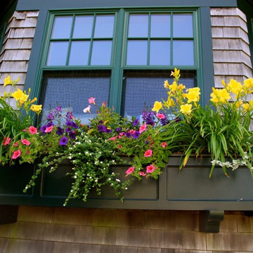 Flourishing Container Gardens!