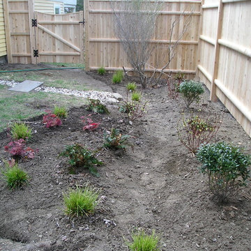 Rain garden
