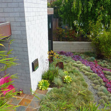 Succulents, Grasses
