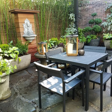 Gowanus Backyard