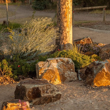 Quamby Garden: Coldstream rock and spotted gum