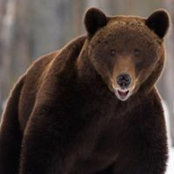 Michael Evans's photo